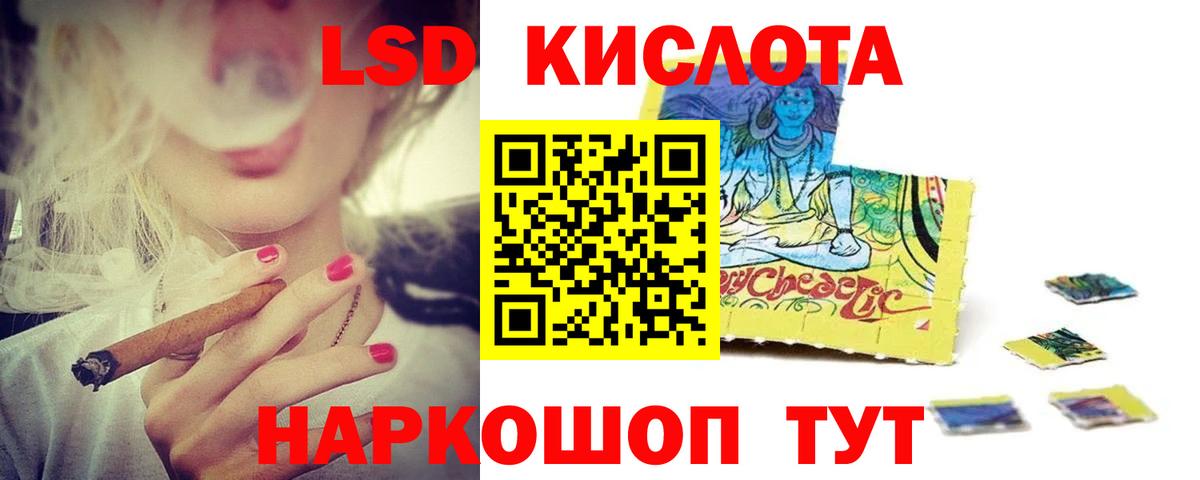 Новозыбков  Лсд 25 экстази  Вход с VPN  ЛСД экстази ecstasy 