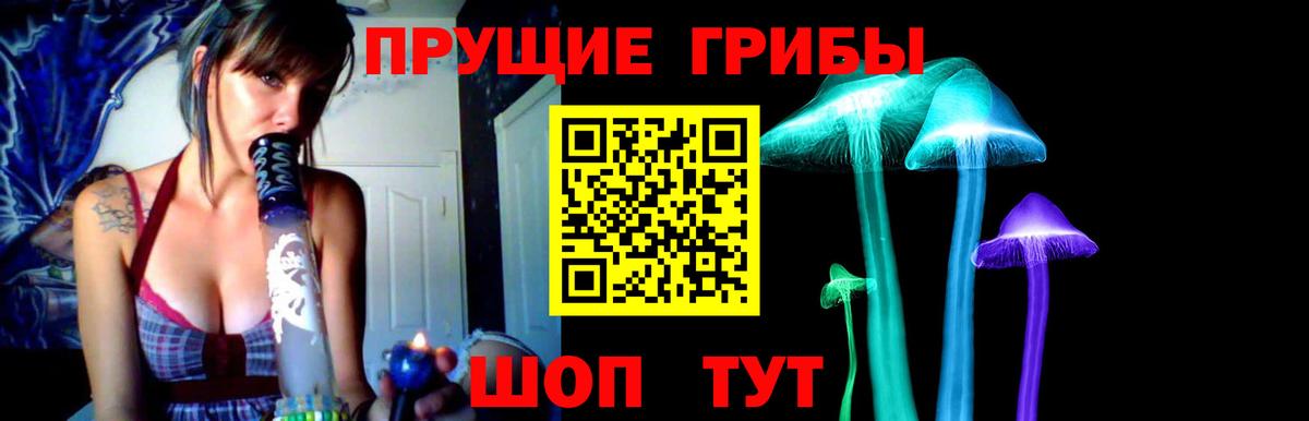 Галлюциногенные грибы Cubensis  Галлюциногенные грибы мухоморы  Новозыбков  Вход с VPN 